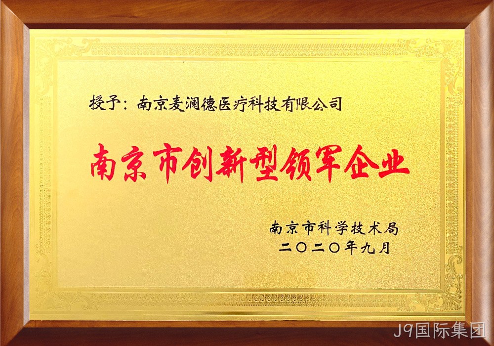 南京市创新型领军企业
